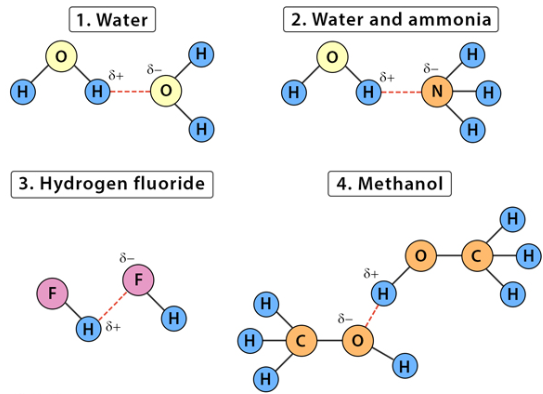 Hydrogen Bonding