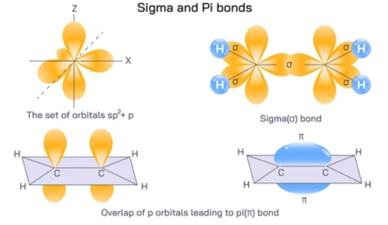 Sigma vs Pi Bonds