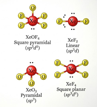Xenon Compounds Geometry