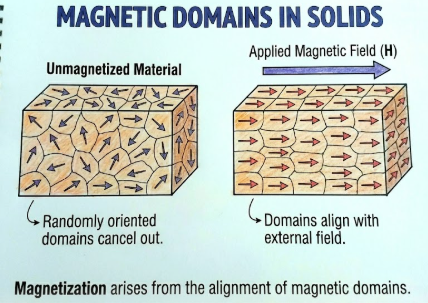 Magnetic Domains