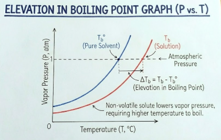 Elevation in BP Graph