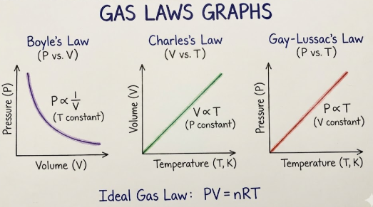Gas Laws Graphs