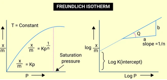 Freundlich Isotherm