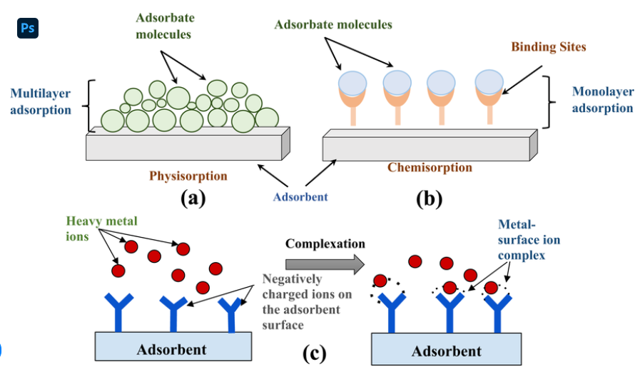 Adsorption Types
