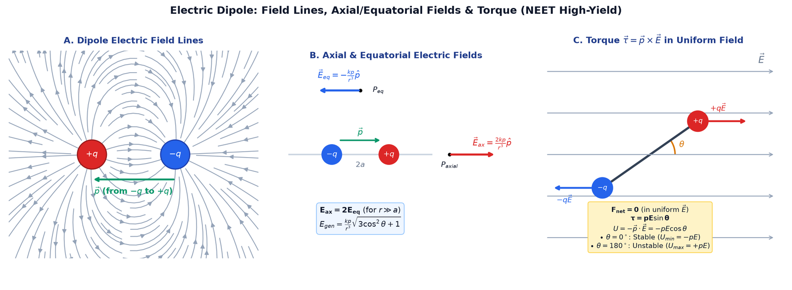 Electric Dipole Field Lines, Axial and Equatorial Fields, and Torque