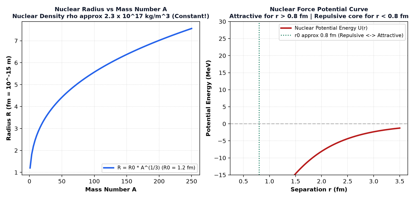 Nuclear Radius and Strong Force Potential Curve