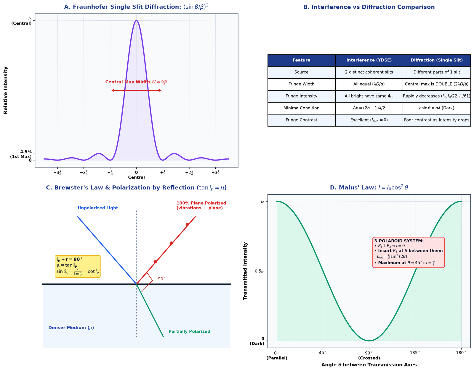 Single Slit Diffraction and Polarization