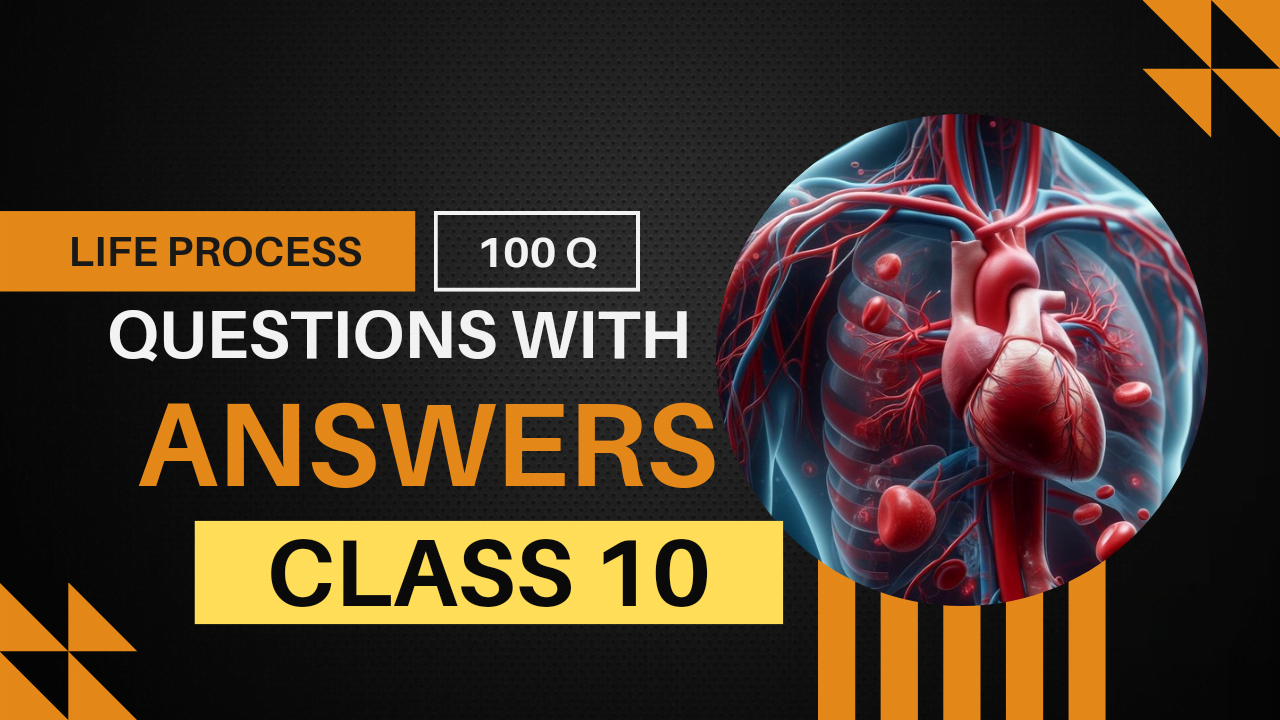 100 most important questions of life processes with answers