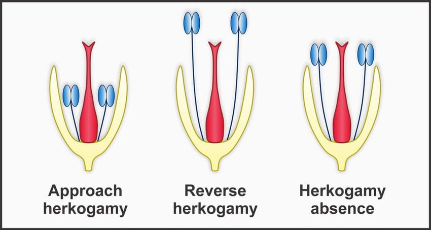 Out breeding devices