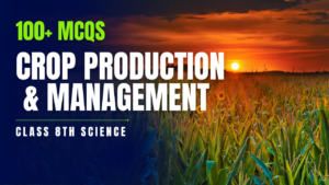 Crop production and management