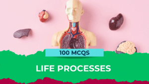 Life processes class 10 mcq