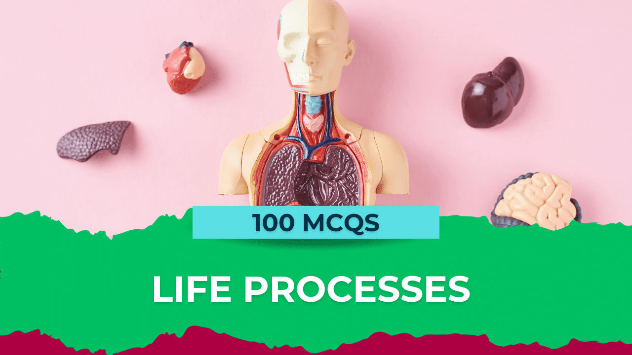 Life processes class 10 mcq