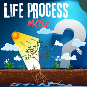 Mcqs of life processes