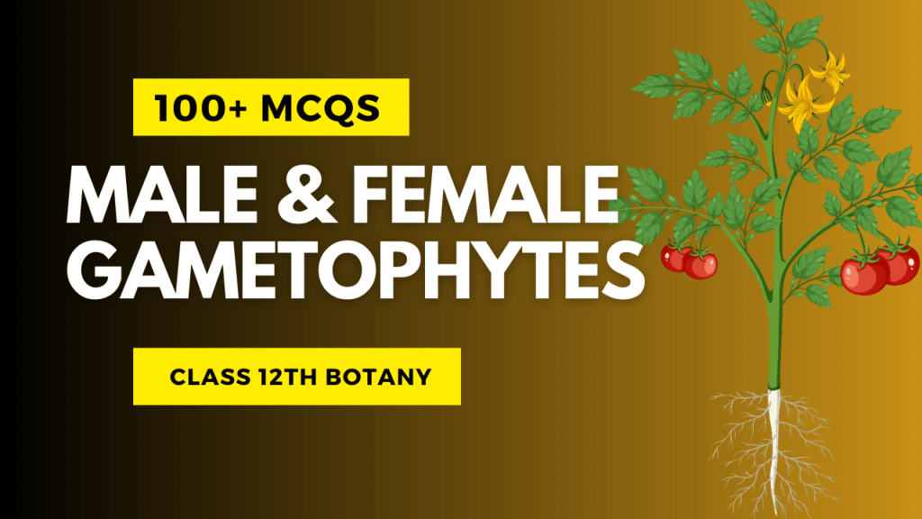 Male & female gametophytes