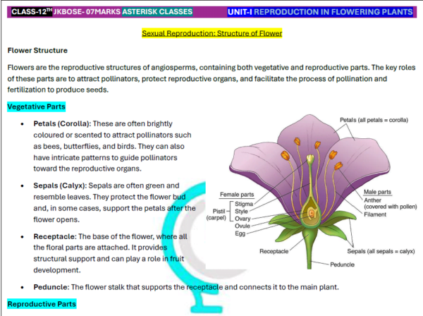 Reproduction In Flowering Plants - Image 3