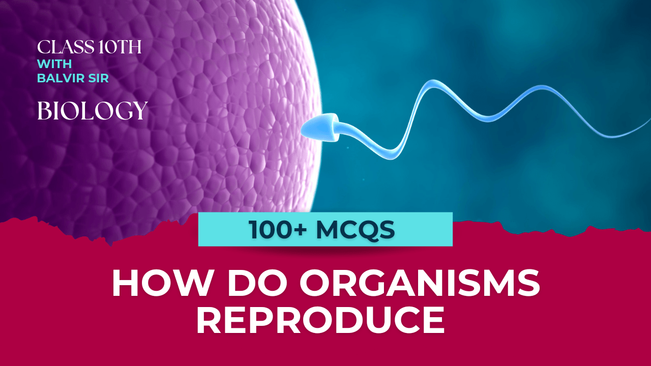 How do organisms reproduce