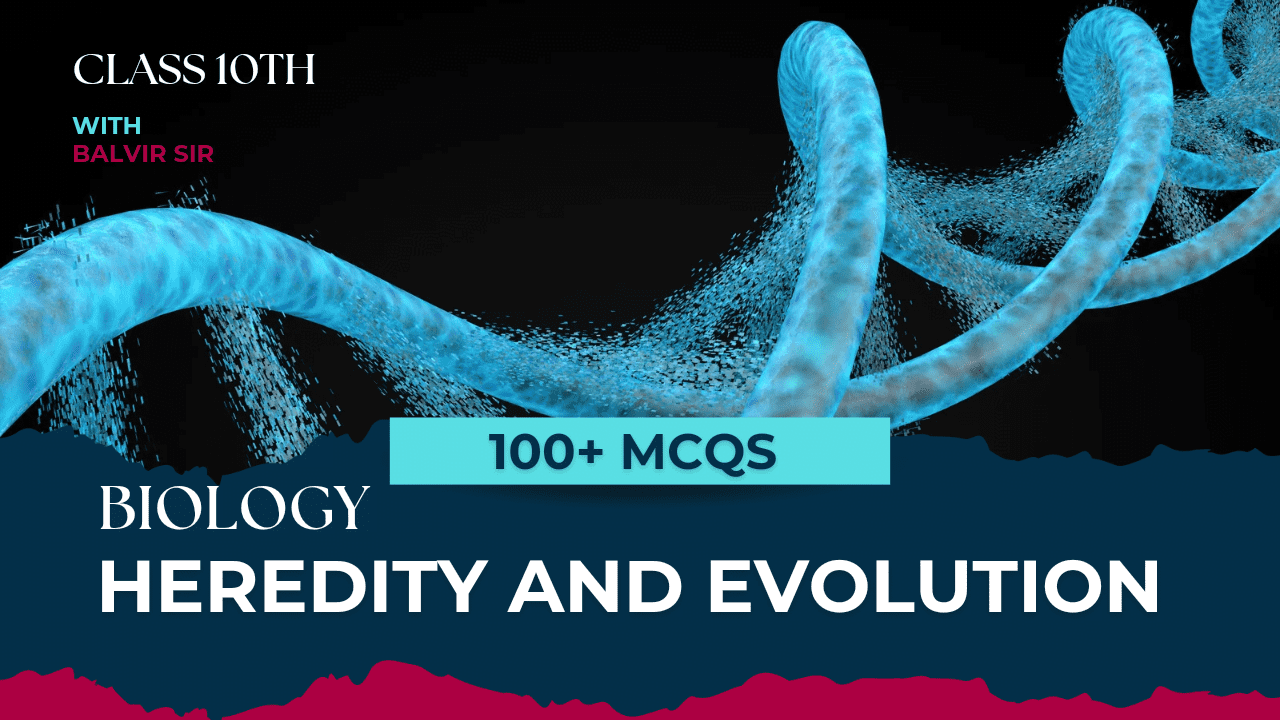 Heredity and evolution mcqs