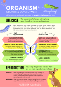Most important types of reproduction in organisms 1 Reproduction