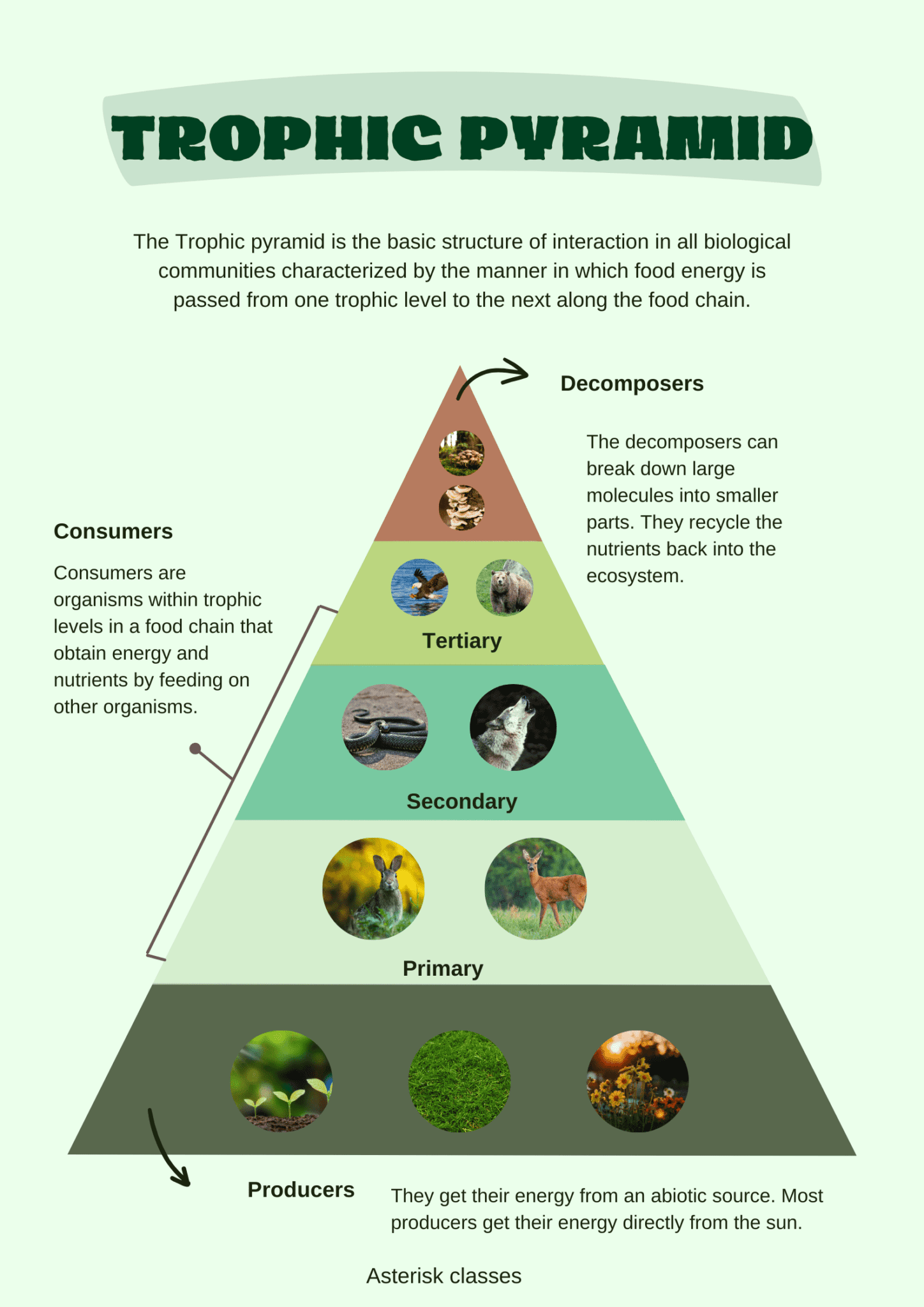 Most Important Questions Of Our Environment | Asterisk Classes