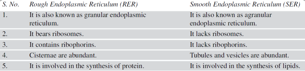 Rough endoplasmic reticulum vs smooth endoplasmic reticulum