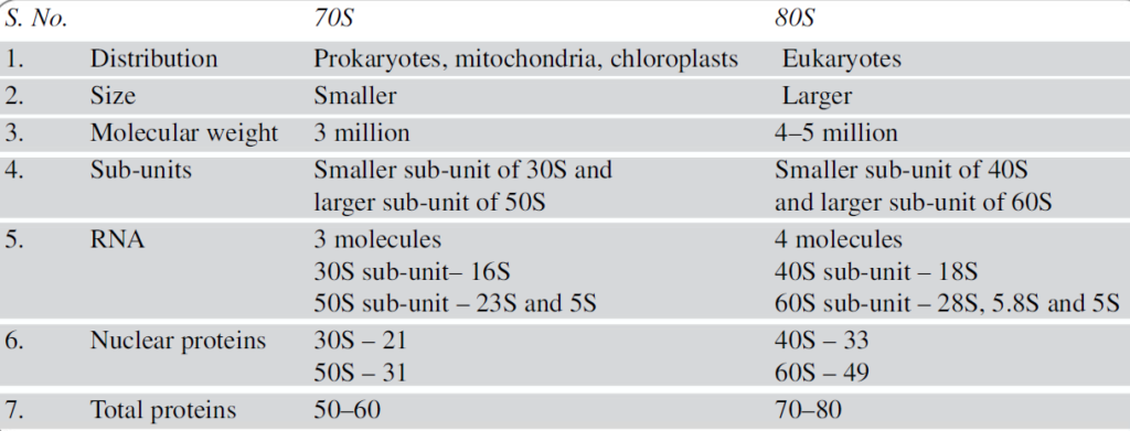 70s vs 80s ribosomes