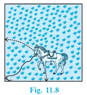 Class 10th math exercise 11. 1 3 Horse grazing in a square field (fig. 11. 8)