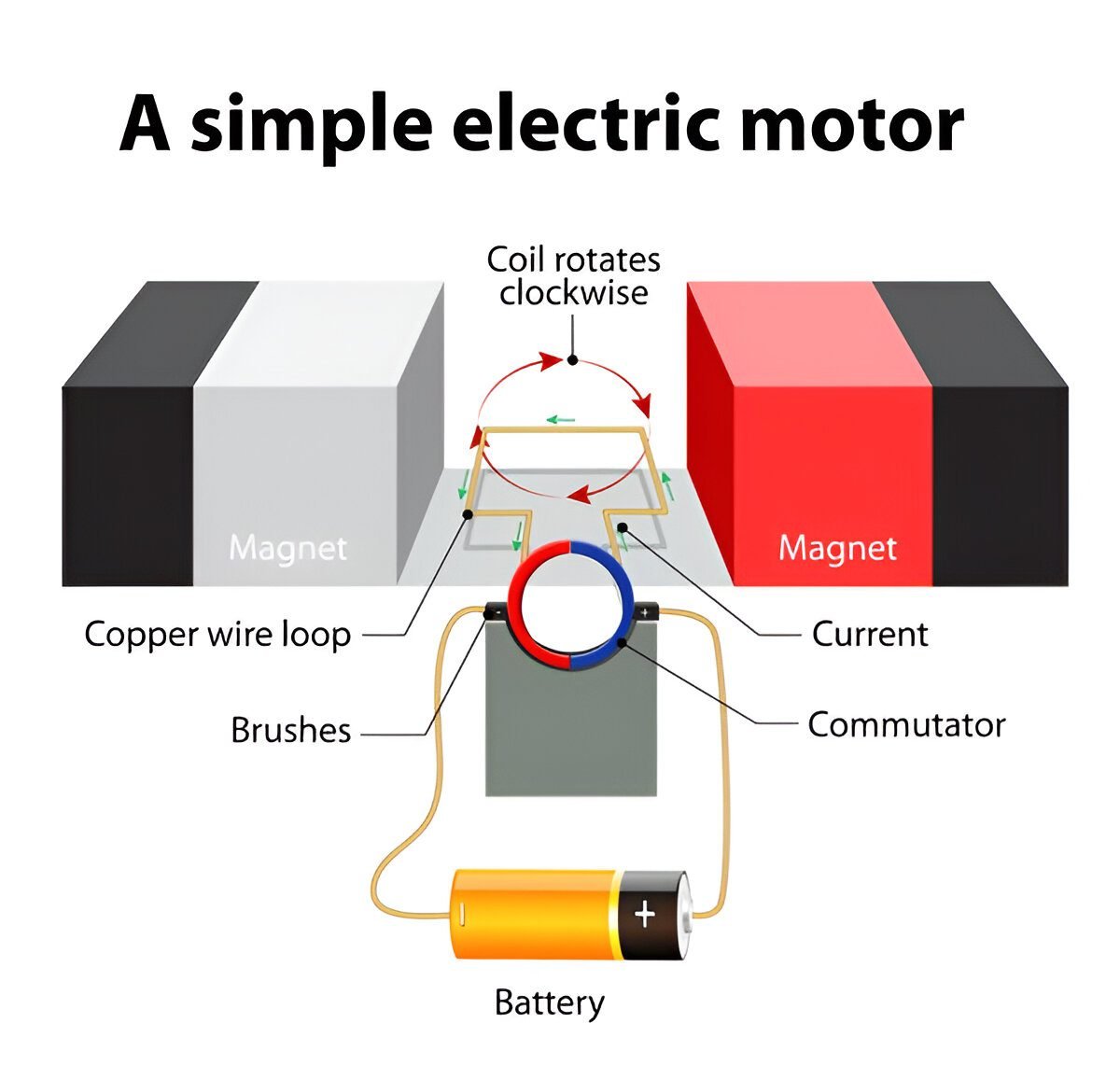 Magnetic effect of electric current class 10 notes 9 Labeled diagram of dc motor with armature, commutator and brushes