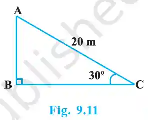 Class 10 maths chapter 9 exercise 9. 1 solutions 3 Circus pole and rope diagram (fig. 9. 11)