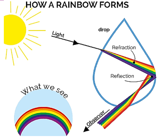 Human eye and colourful world class 10 notes 7 Light path inside raindrop causing rainbow