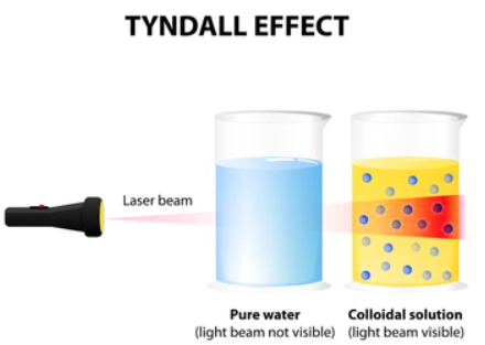 Human eye and colourful world class 10 notes 10 Tyndall effect in colloidal solution