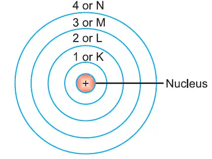 Bohr's Model of the Atom showing energy levels