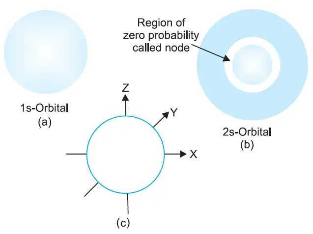 Shapes of s orbitals