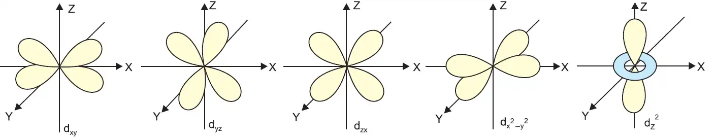Shapes of d orbitals